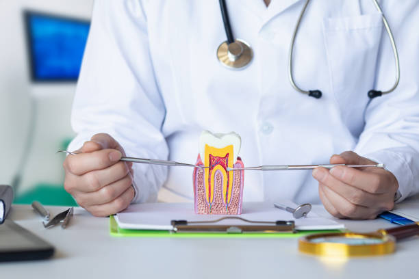 Best Dentist for Severe Toothache  in Perry, UT